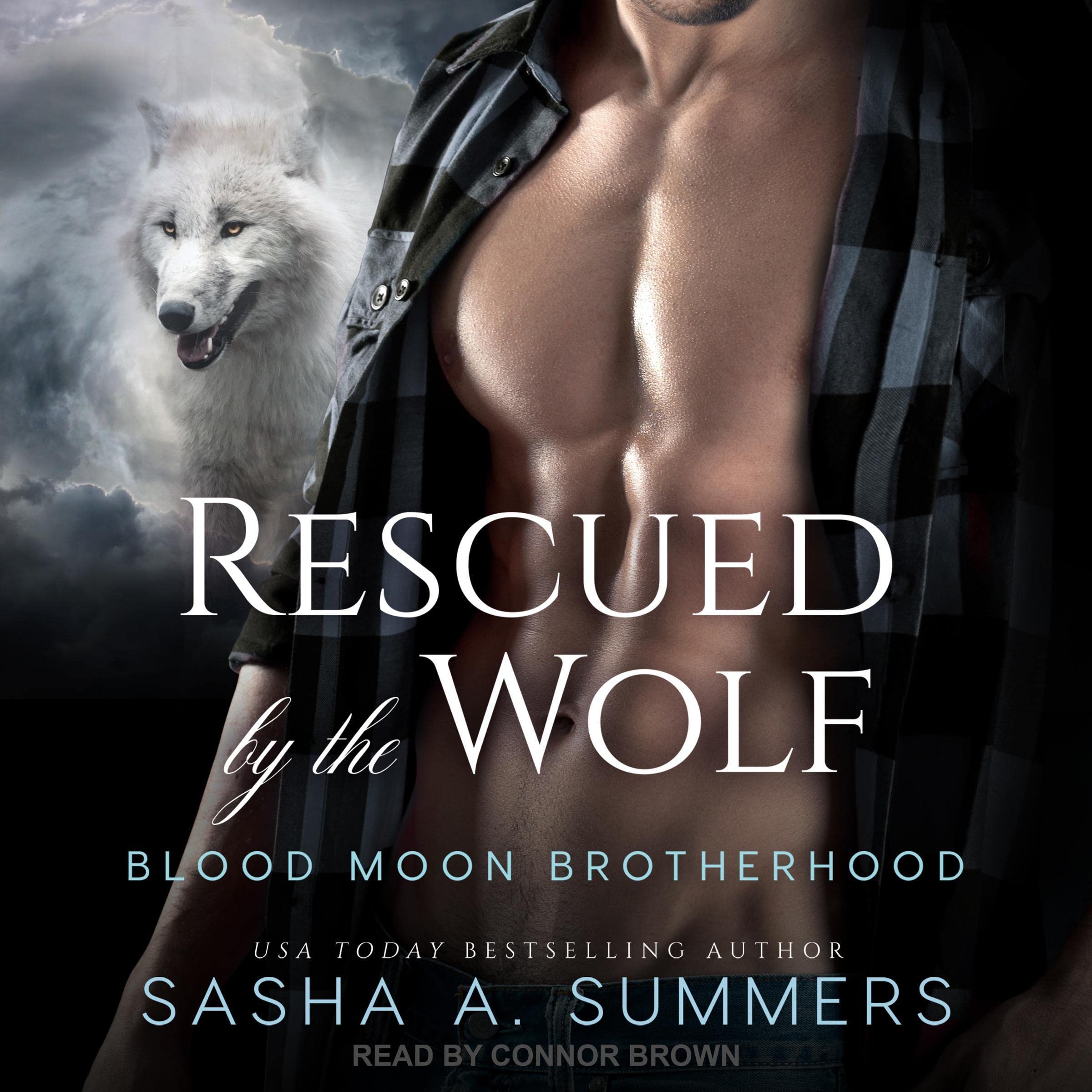 Cover art for Rescued by the Wolf