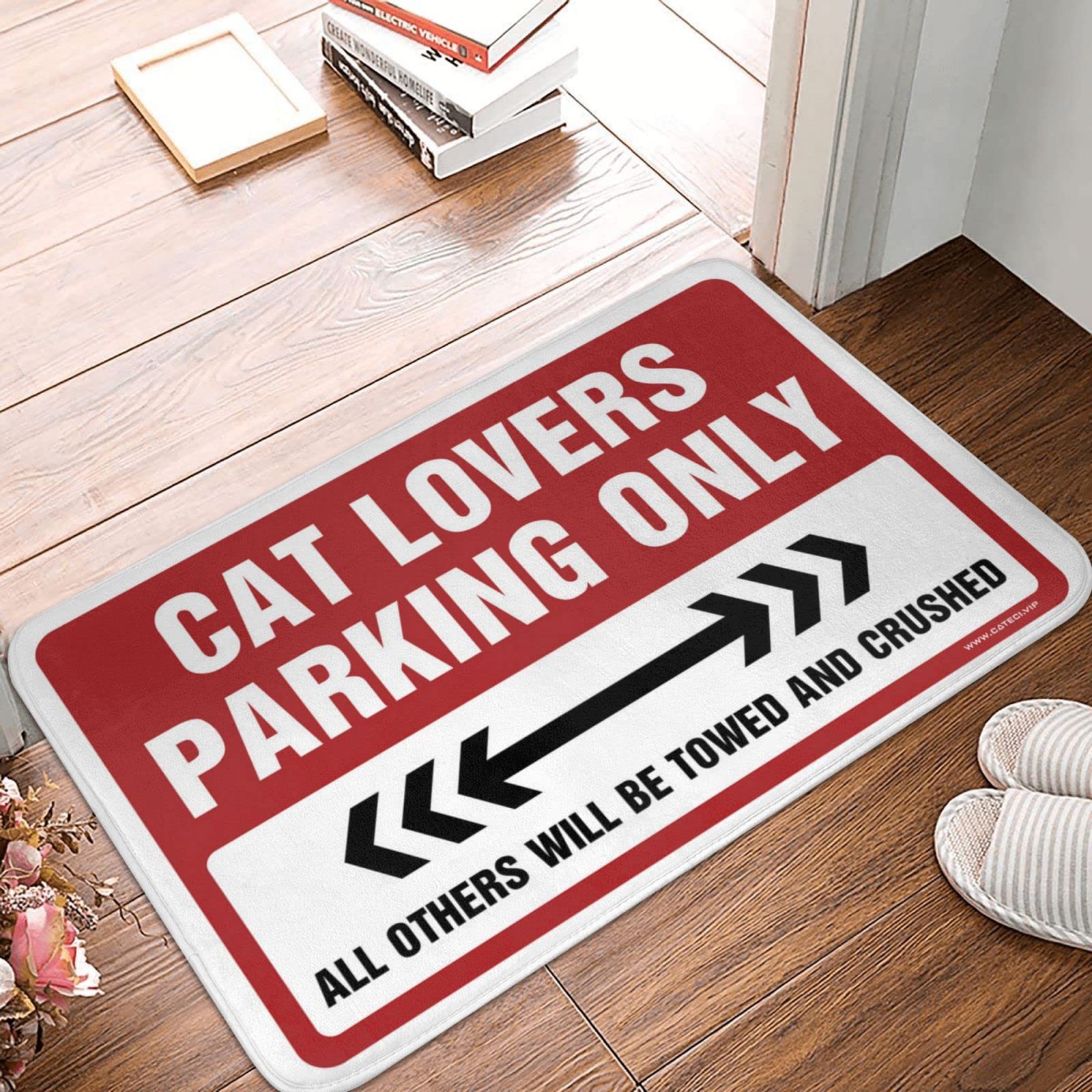 Tapis de porche pour chats paillasson esthétique contre la saleté
