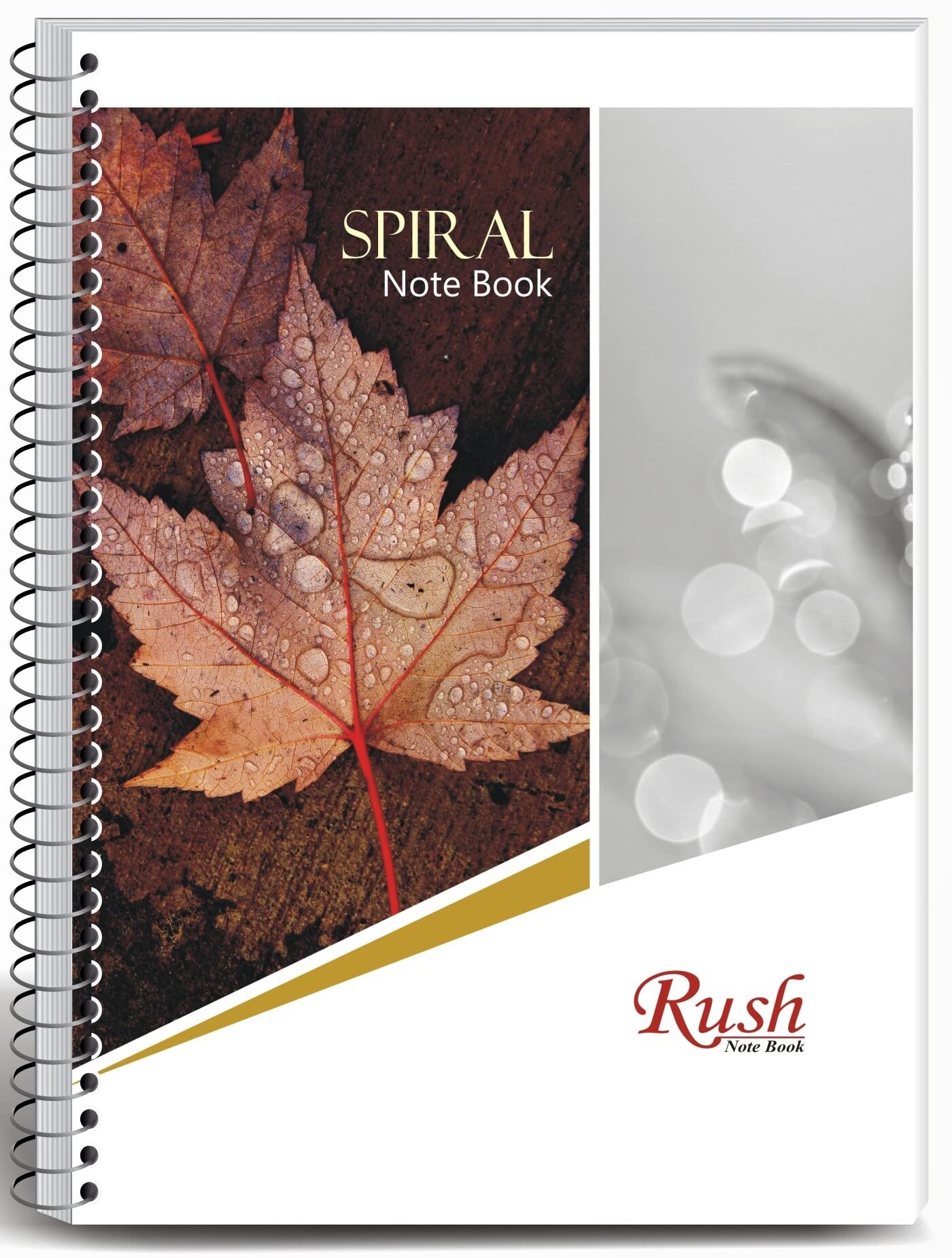 Rush - Quaderno a spirale a righe, 200 pagine, formato A4, confezione da 4, a righe
