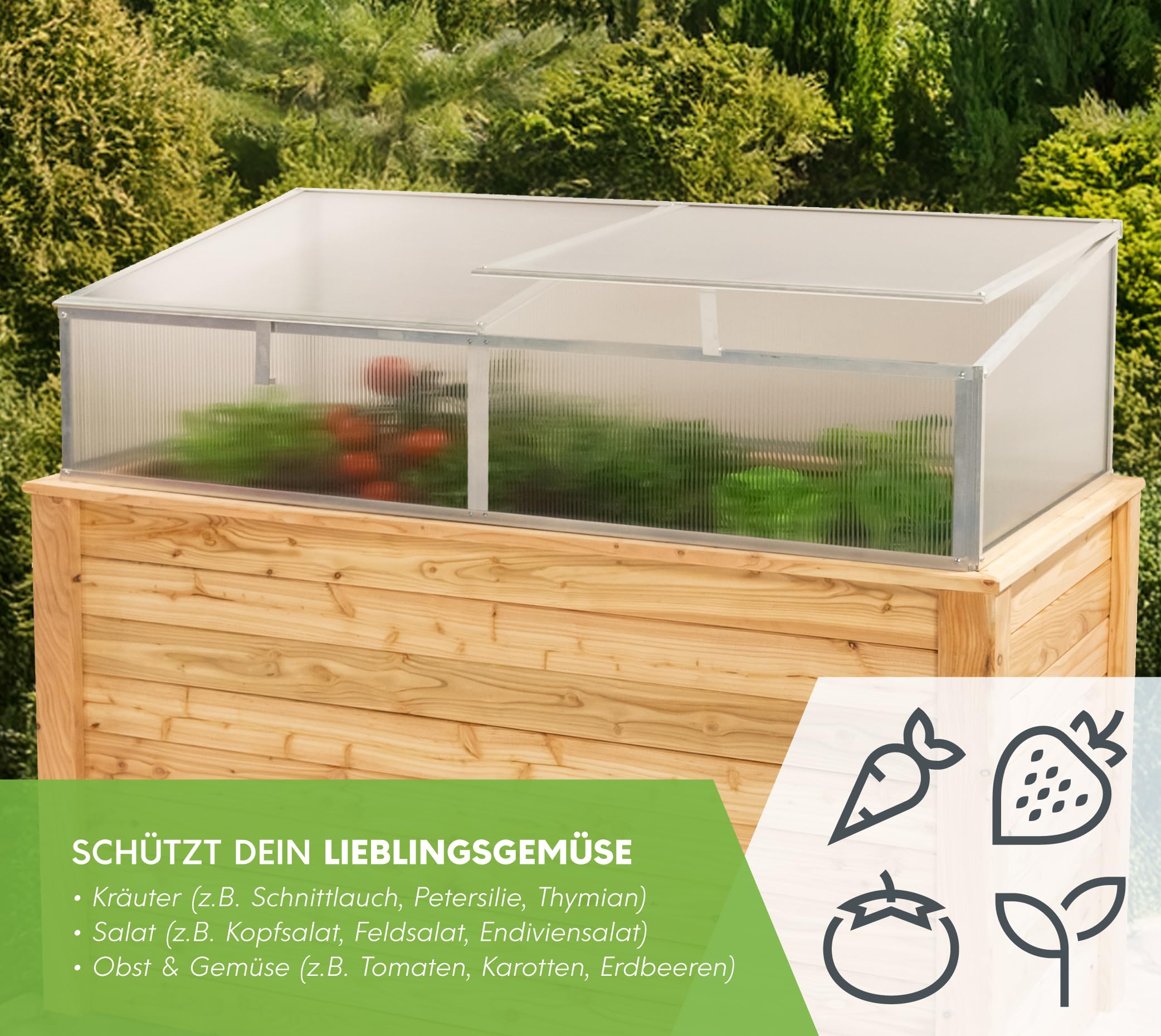 Westmann Aluminium Frühbeetaufsatz Genus 170 | Hochbeetabdeckung mit Polycarbonat-Doppelstegpaneelen | Zubehör für Hochbeet Klassik 170 | Silber | 165x85x41 cm