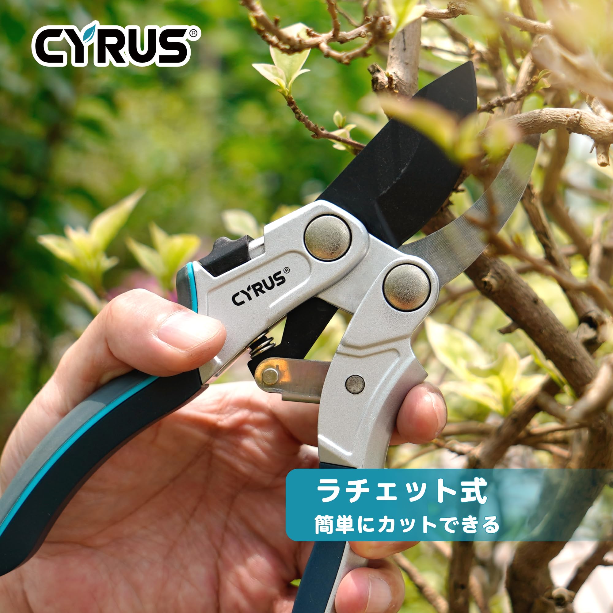 Amazon | CYRUS 剪定鋏 切断径22mm バイパス式 ラチェット式