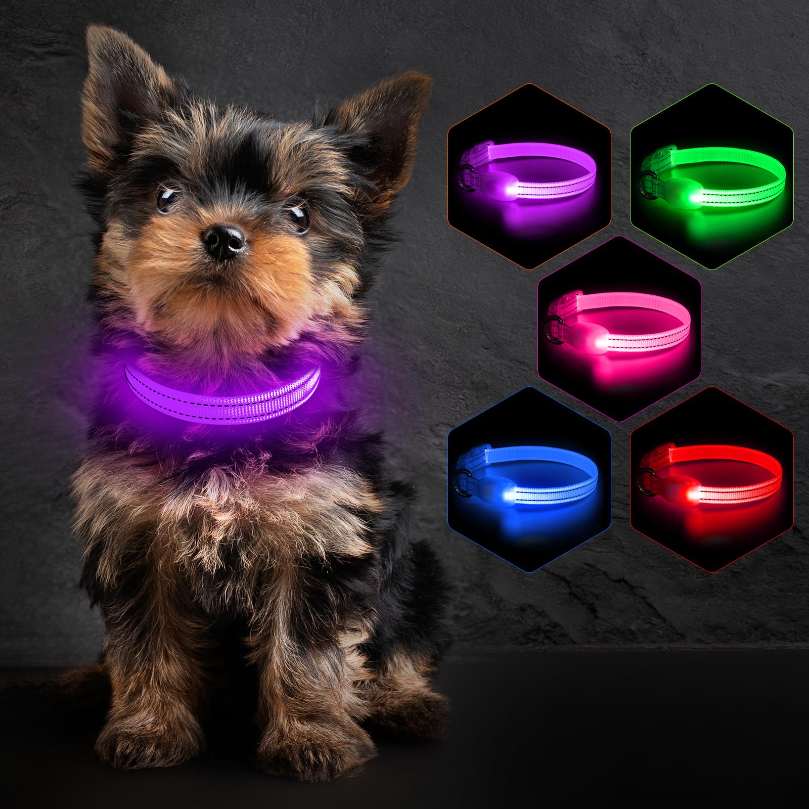 Colaseeme USB C Rechargeable Light Dog Collar Waterproof Purple S โ image 1