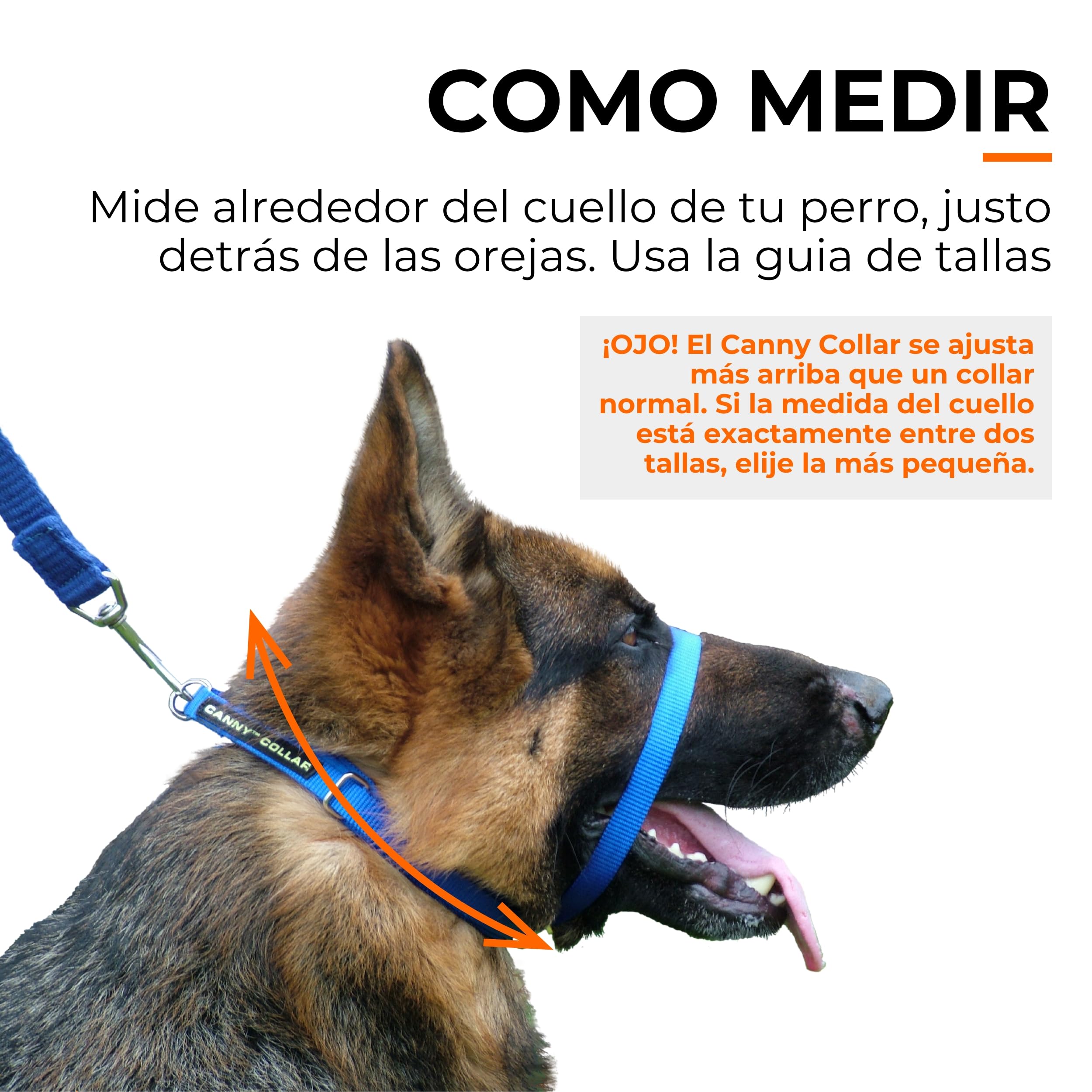 Canny Collar – Collar Antitirones de Cabeza para Perros Que Tiran | Arnés de Entrenamiento Suave y Seguro | Paseos Tranquilos sin Tirones – Azul, Talla 5