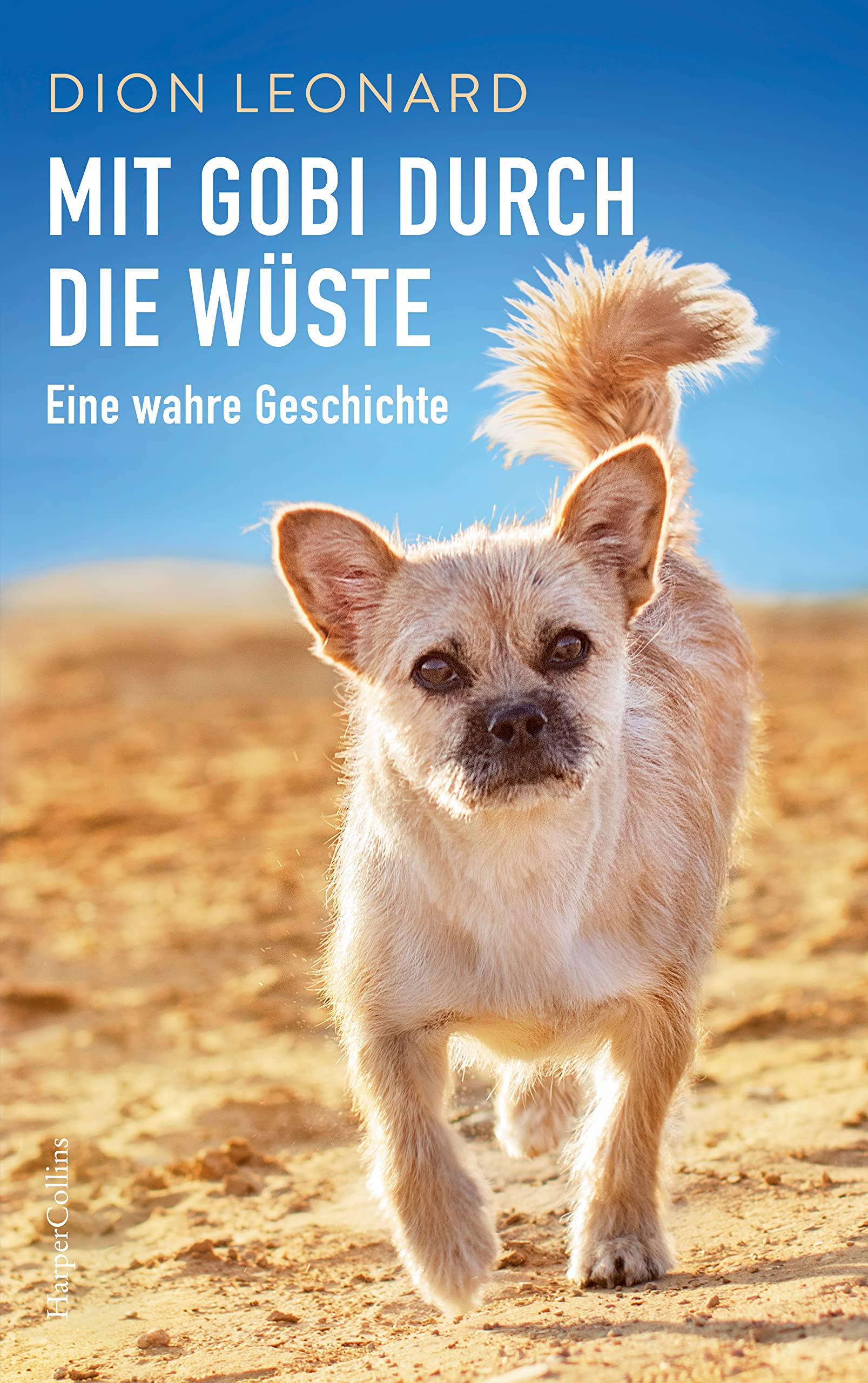 Mit Gobi durch die Wüste - eine wahre Geschichte: Eine wahre Geschichte