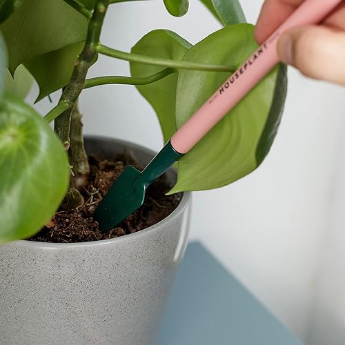 Miniatura 3 de Mini herramientas para plantas de interior - Juego de herramientas de jardinería interior - Mini pala - Mini paleta - Mini rastrillo - Juego de