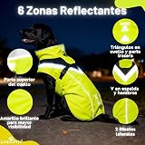 Ver la foto 6