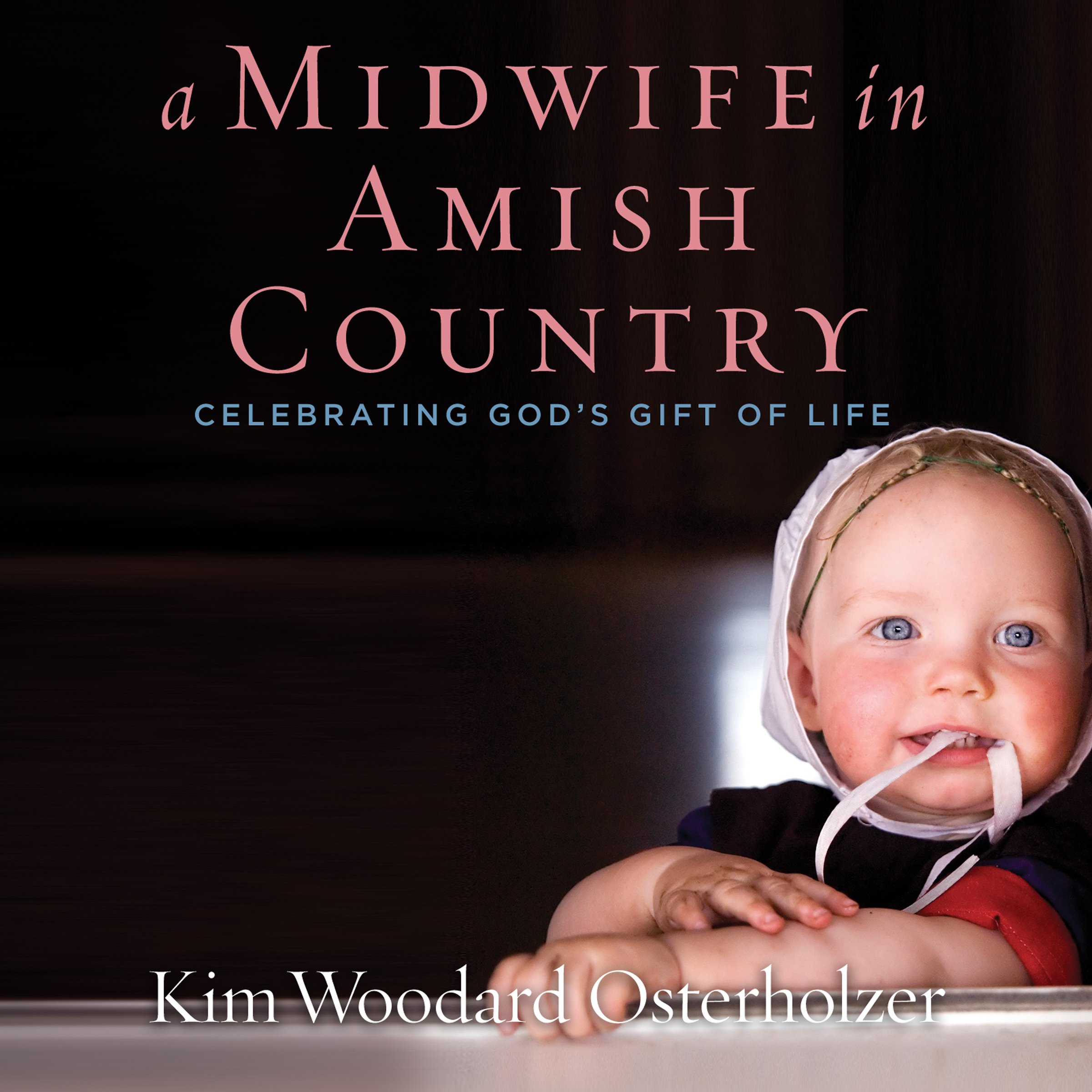 Cover art for A Midwife in Amish Country