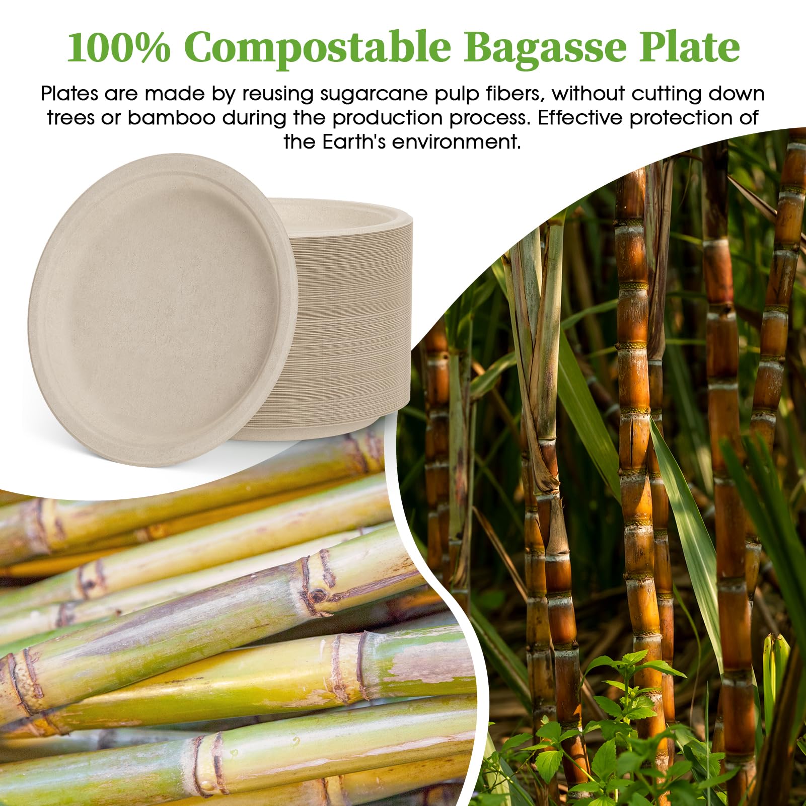 Snapklik.com : Paper Plates 10 Inch, 150 Pack Compostable Heavy Duty ...