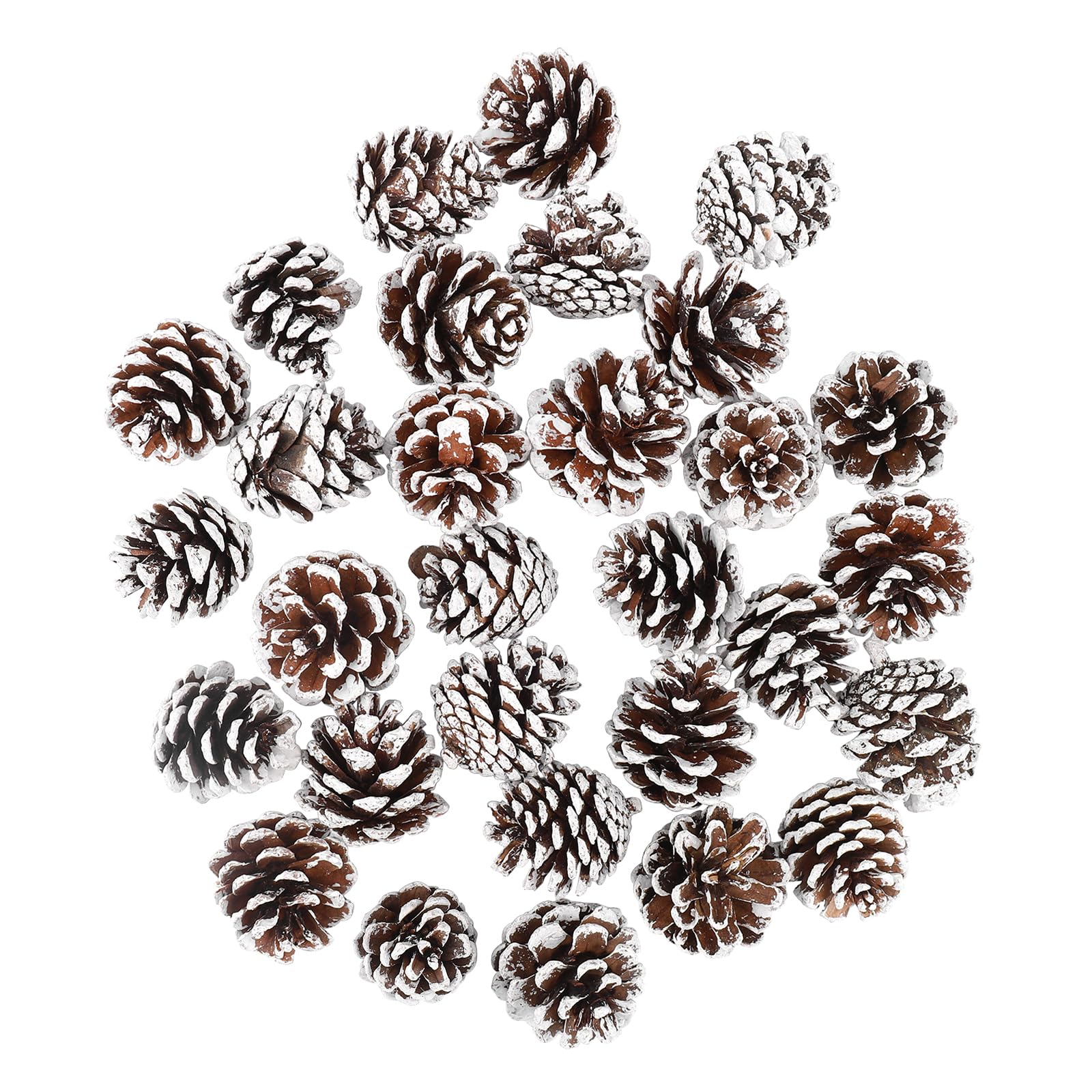 36 Natürliche Mini-Tannenzapfen In 2 Größen (silber) – Deko Für Weihnachten, Herbst & Bastelprojekte