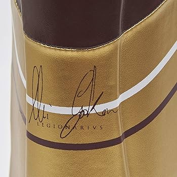 レオーネ 1947 レガース Amazon | LEONE 1947 格闘技 キックボクシング MMA シンガード