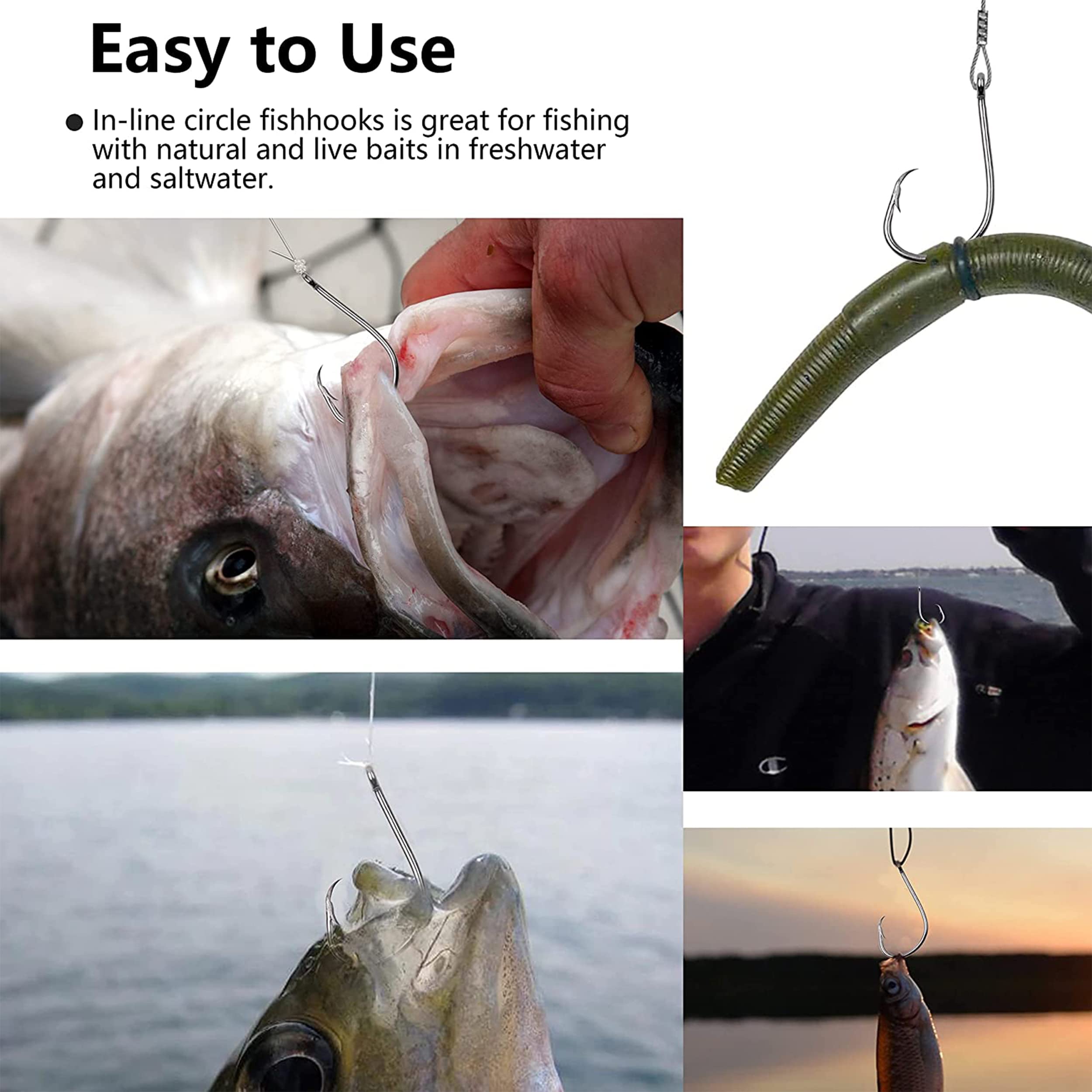 Cut Bait Best Hook For Channel Catfish Multi Hook Catfish Rig