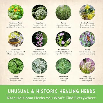 Ultimate Medicinal Herb Seeds, 36-Variety Heirloom Non-GMO Pack | Non-GMO Healing Herbs for Planting - Wellness Apothecary Garden Kit for Herbalists, Homesteaders - Survival Garden Seeds