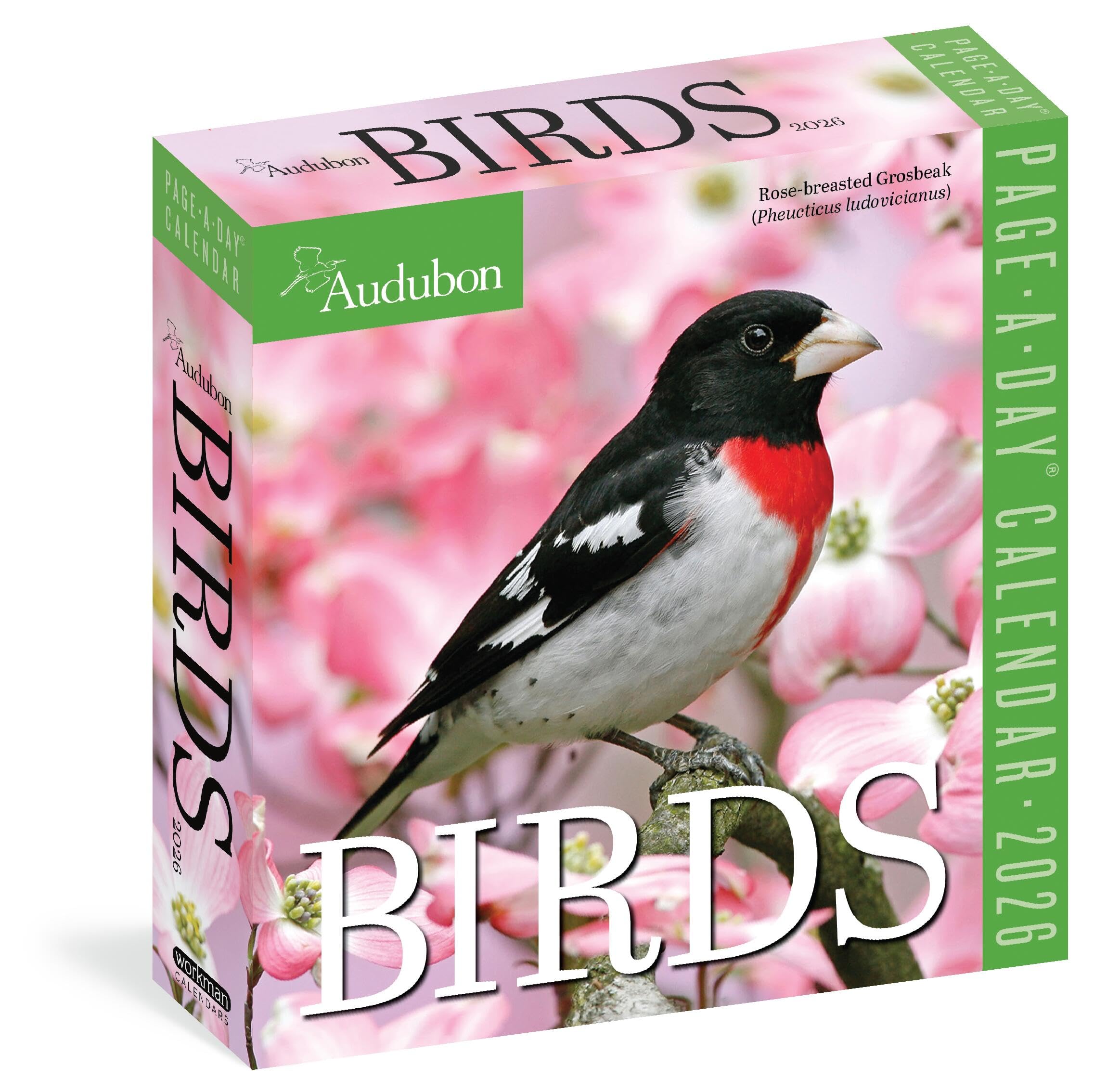Audubon Birds Page-A-Day® Calendar 2026: The World's Favorite Bird Calendar