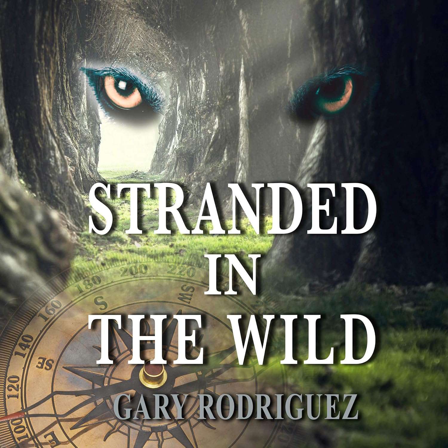 Stranded in the Wild