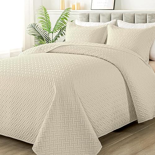 HYLEORY Juego de edredón tamaño King Colchas suaves y ligeras acolchadas de verano Juego de ropa de cama reversible para todas las estaciones de 3 HYLEORY Juego de edredón tamaño King Colchas suaves y ligeras acolchadas de verano Juego de ropa de cama reversible para todas las estaciones de 3