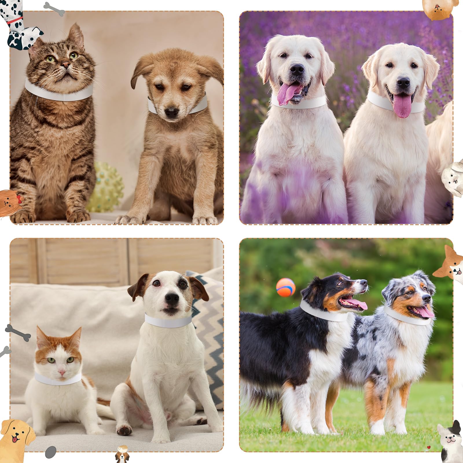 500 collares de perro de 20 pulgadas, impermeables, con papel resistente al desgarro, collares de identificación de cachorros, collares adhesivos de identificación de mascotas para perros