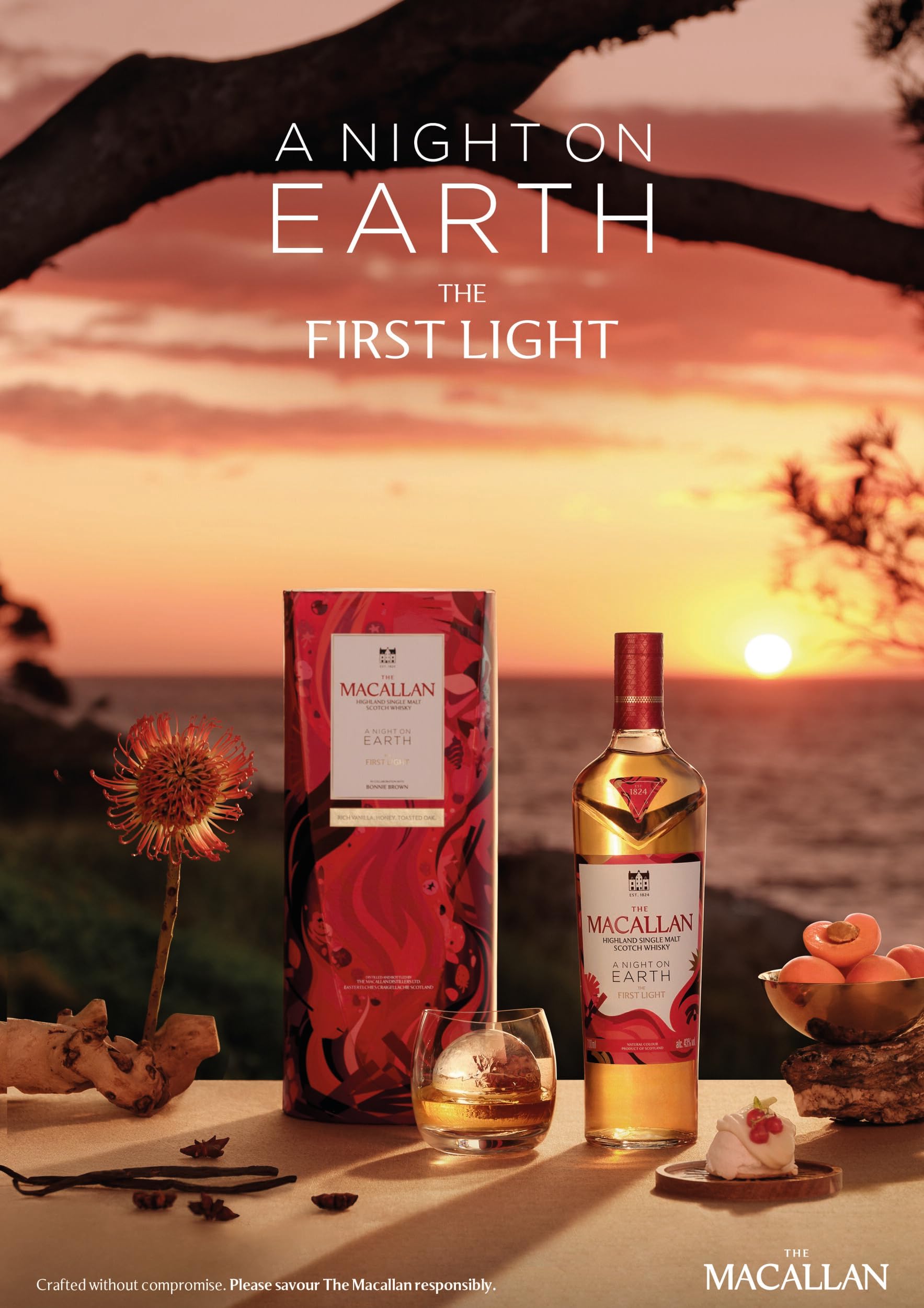 The Macallan A Night On Earth The First Light : Amazon.co.uk: Grocery