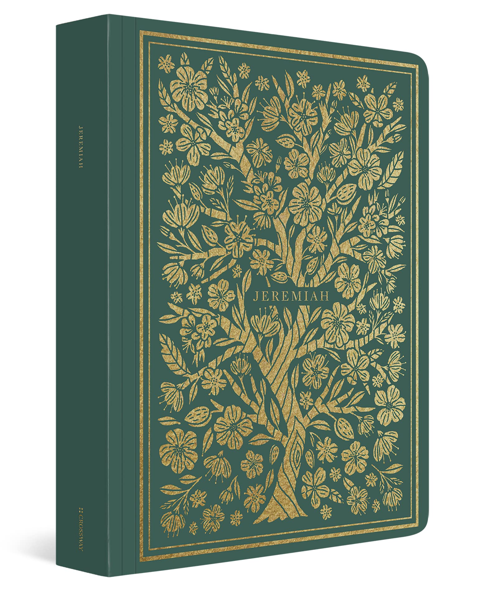 ESV Illuminated Scripture Journal: Jeremiah: Jeremiah (Paperback)