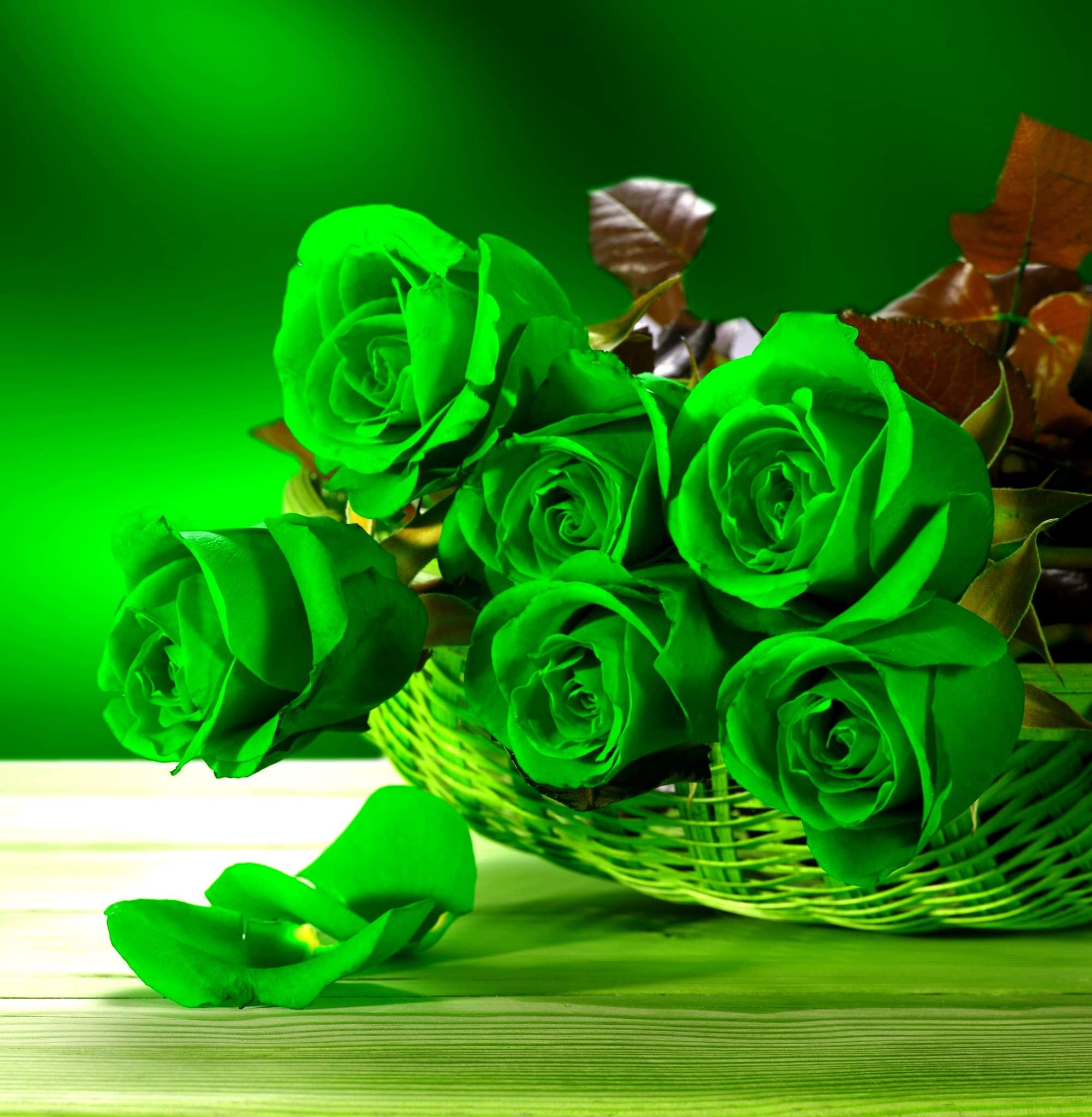 Amazon.com : CHUXAY GARDEN Green Rose Seeds 100 Seeds Rare Green