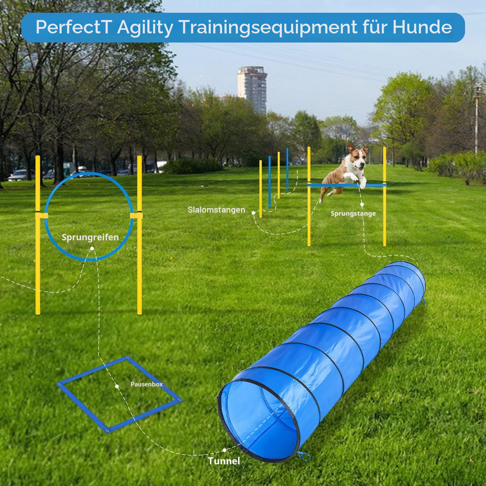 Agility Set Hunde Groß, Hunde Parcour Reaktionstraining für Hundetraining Zubehör mit 300CM Hundetunnel, Agility Hürden, Slalomstangen,Springring Hunde Agility Set