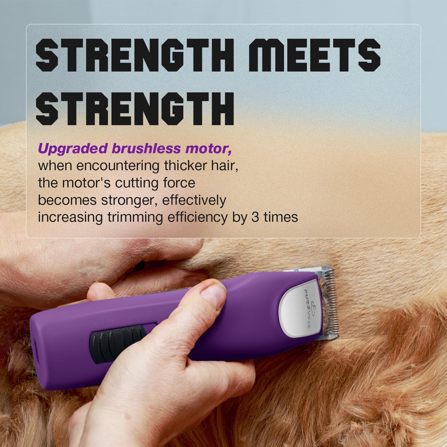 Tondeuse professionnelle pour chien avec moteur sans balais Violet