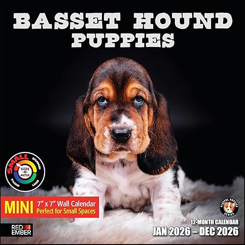 Miniatura 7 de RED EMBER Calendario mensual de pared colgante de cachorros de pastor alemán 2023  12 x 24 pulgadas abierto  Papel grueso y resistente  Regalar