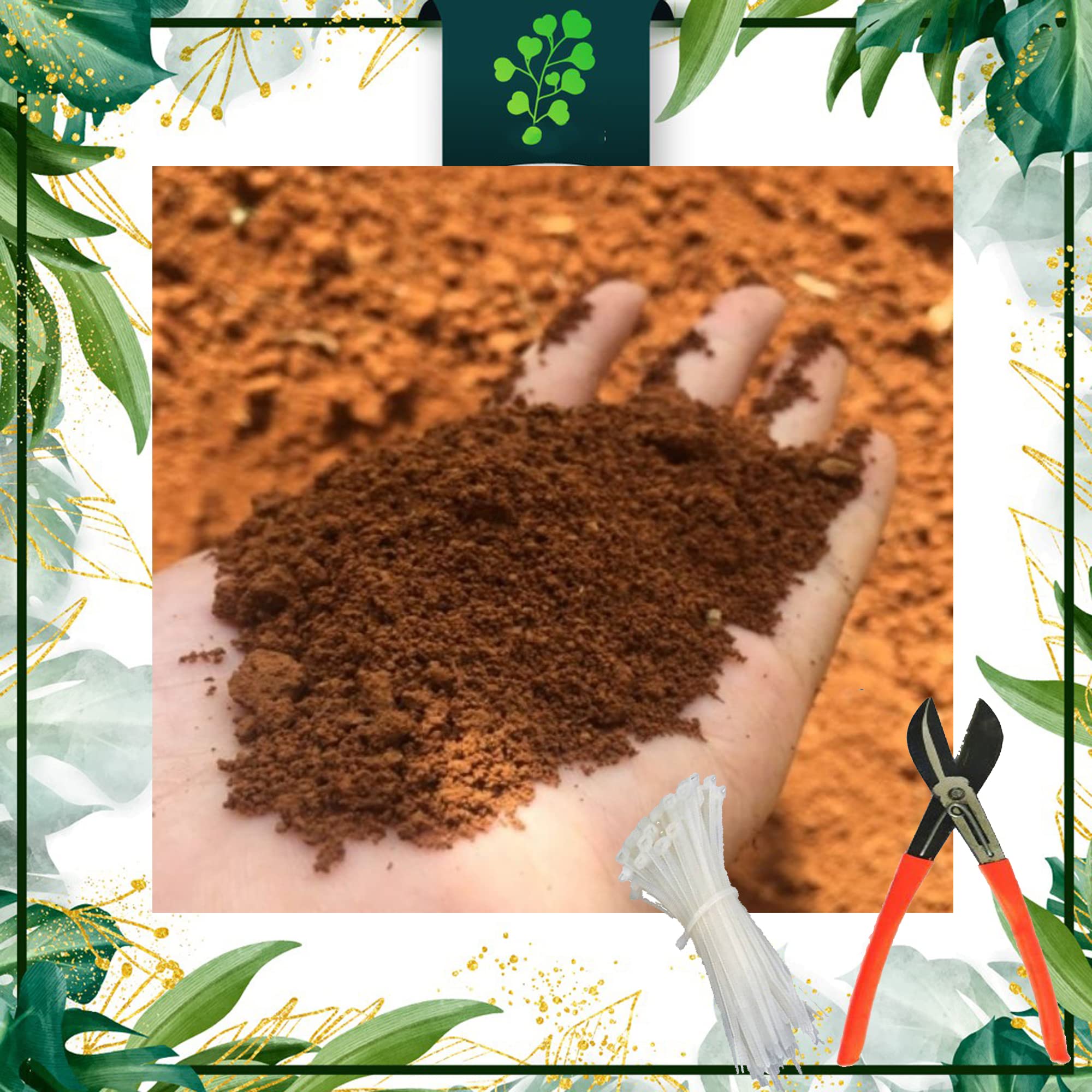 See full amazon price history chart for SAI Balaji 5 Kg Loose Cocopeat Powder_100 % Organic_Eco-Friendly_Ready to Use for Indoor_Outdoor Plants_Home Gardening_Nurseries with A Cutter and 30 PVC Tags LJCRS4 SAI Balaji 5 Kg Loose Cocopeat Powder_100 % Organic_Eco-Friendly_Ready to Use for Indoor_Outdoor Plants_Home Gardening_Nurseries with A Cutter and 30 PVC Tags LJCRS4 (B09QXCYVP3) Amazon Price History, Amazon Price Tracker