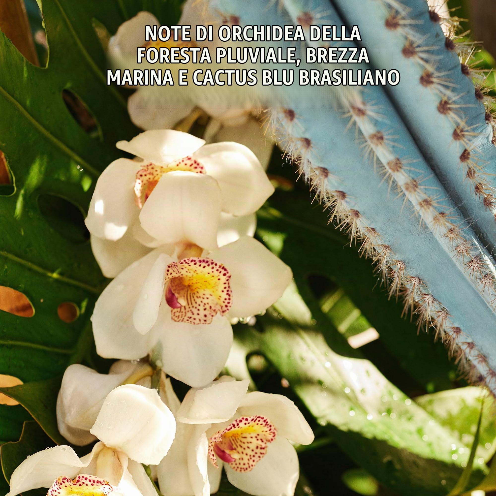 Sol de Janeiro Refresco Paraíso Limited Edition Perfume Mist, spray per il corpo, brezza marina, orchidea, liquido