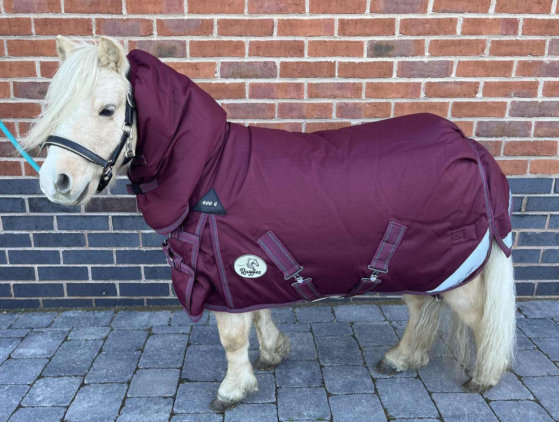 Ruggles 400g Heavyweight 1200D Combo Neck Turnout Rug for Shetland Pony Donkey & Miniature Horse | Waterproof Breathable Teflon Coated Winter Rug (Burgundy, 3' 9")