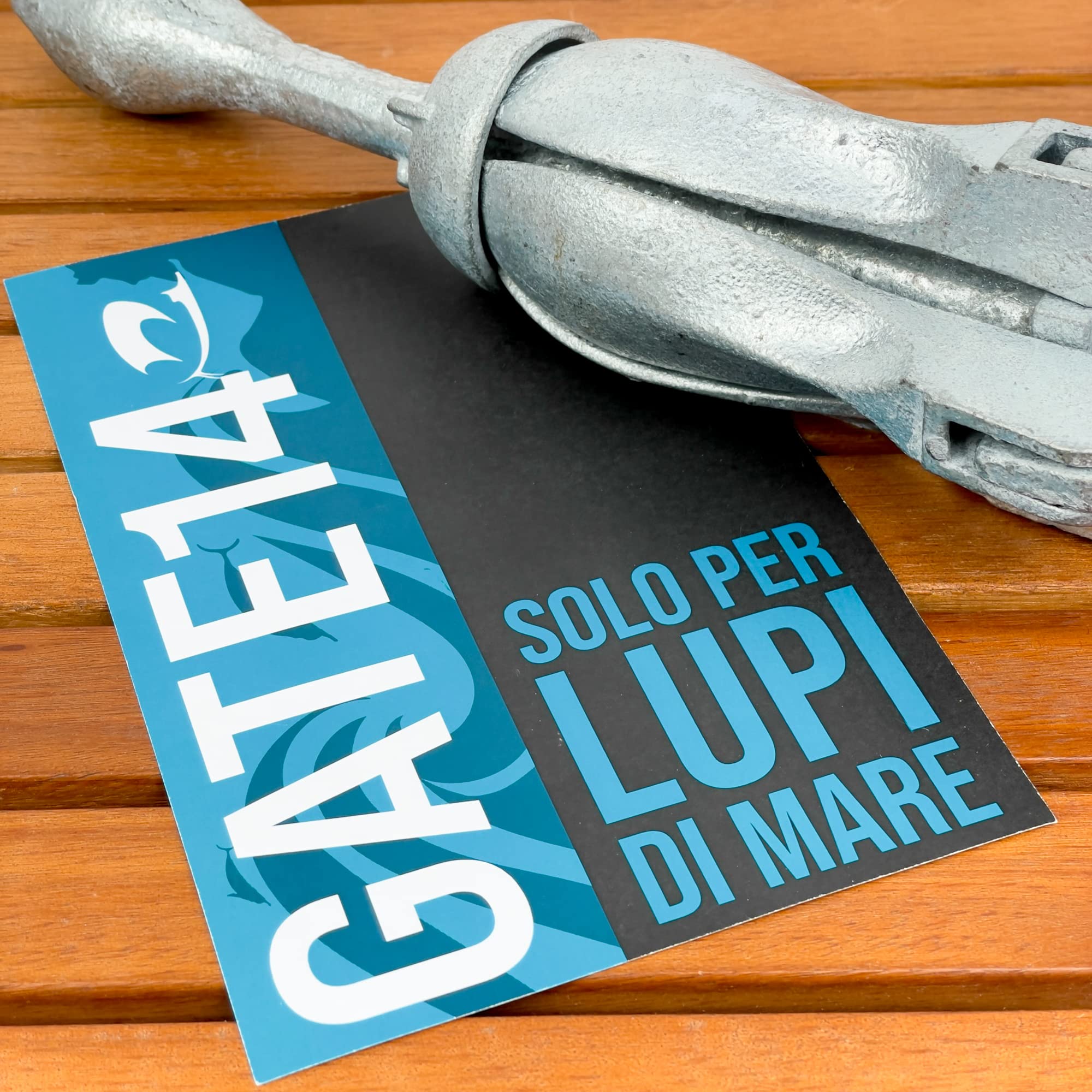 GATE14® Ancla Plegable de Acero zincado para embarcaciones Grandes y pequeñas. Fuerte para anclar y Resistente también a Aguas salobres y saladas. 0,7 kg