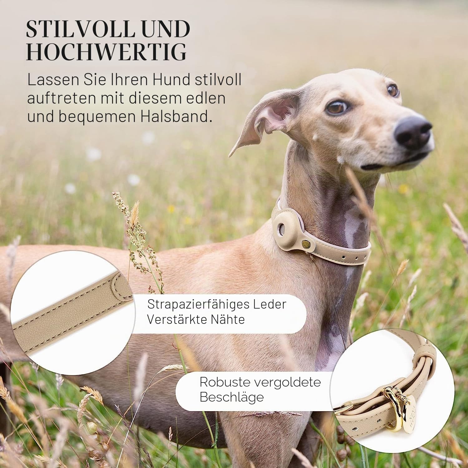 Nina Woof Cupertino Hundehalsband aus veganem Leder, gepolstert und verstellbar mit Tracker-Halterung, Beige, Größe M (Hals 38-48 cm)