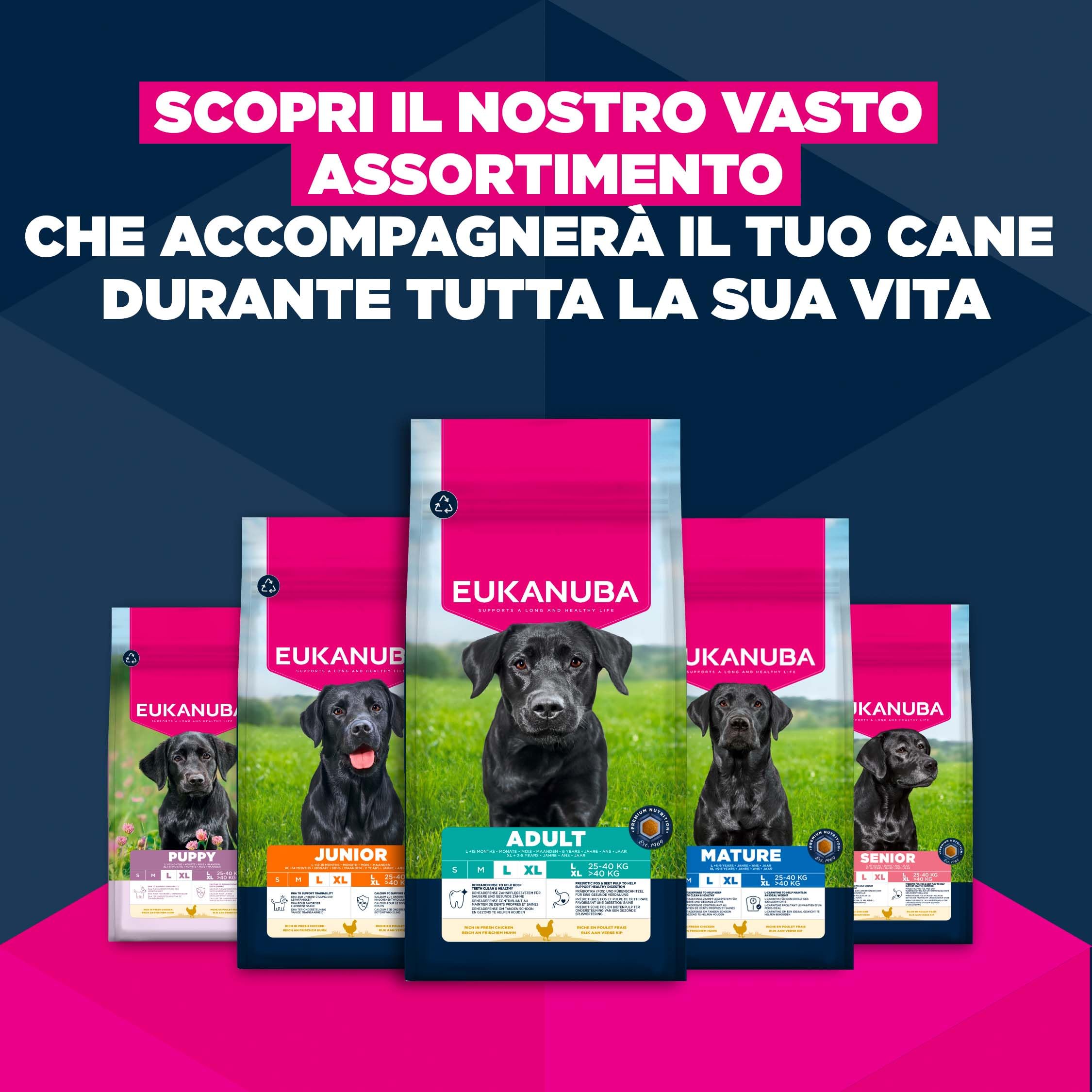EUKANUBA Cibo secco per Cani con pollo fresco per razze di taglia grande, 15 kg