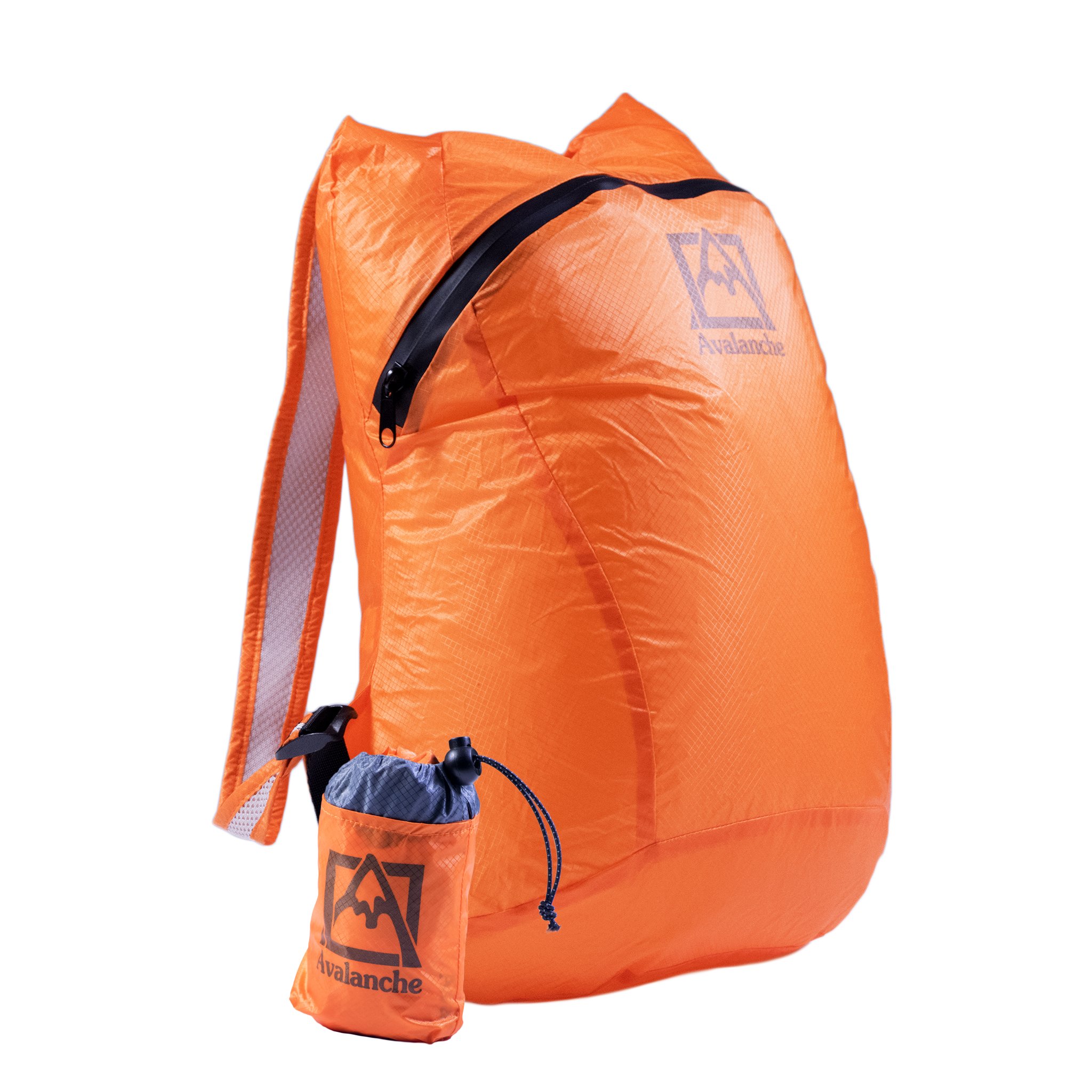 Concept OneAvalanche Nampa Light Packable Backpack