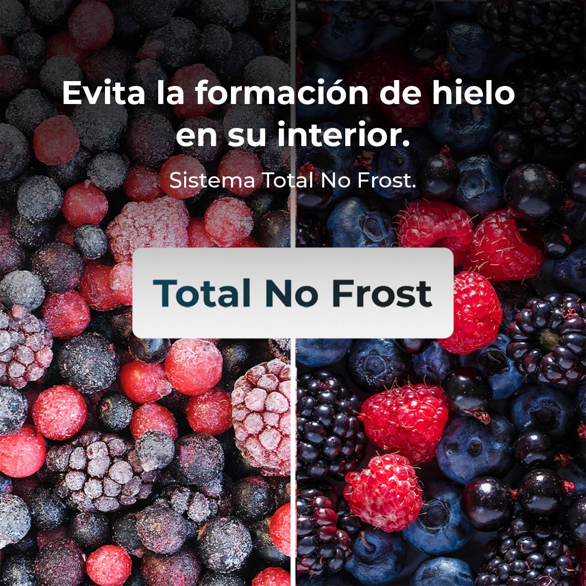 Cecotec Frigorífico Combi Bolero CoolMarket Combi 250 Dark E. Clase Energética E Frigorífico Combi Inox Oscuro 180X55Cm, 250L, No Frost, Multi Air Flow Y Cajón Humidity Box