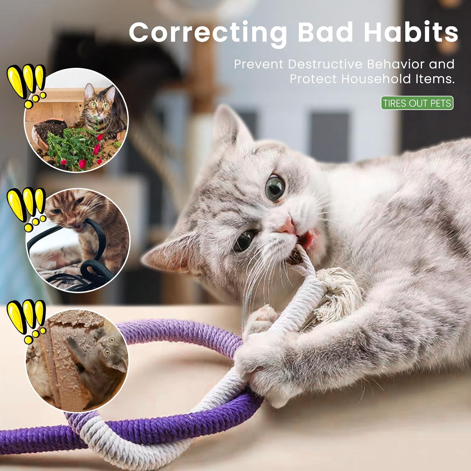 winbarry Cat Toys, Interactive Cat Toy for Indoor Cats, Kitten Teething Cats Chew Nip Toy Rope, Safe Teeth Cleaning Chew 4 81hqmLlf4CL. AC SL1500