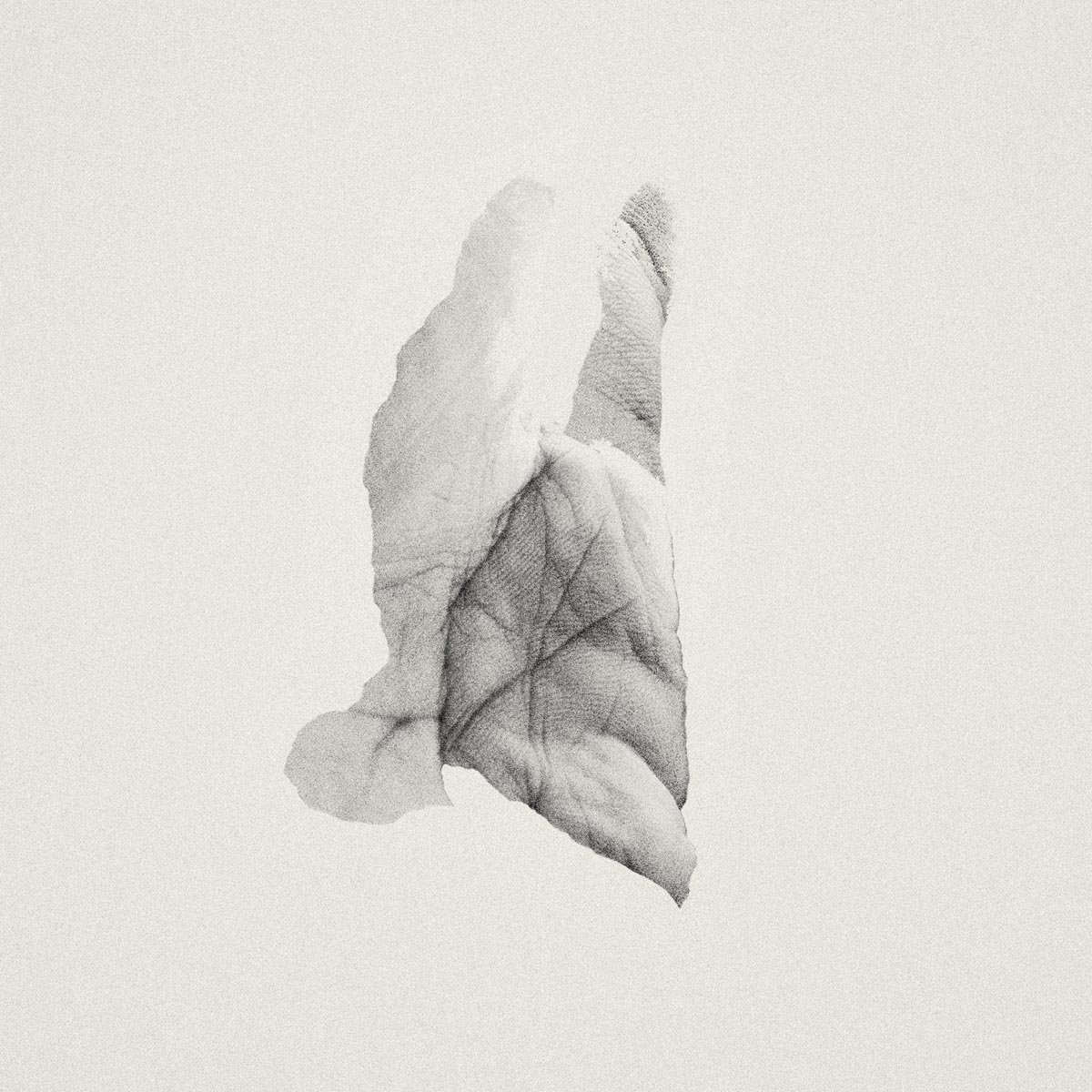 JABU - Sleep Heavy - Vinyl (LP + MP3 download code)