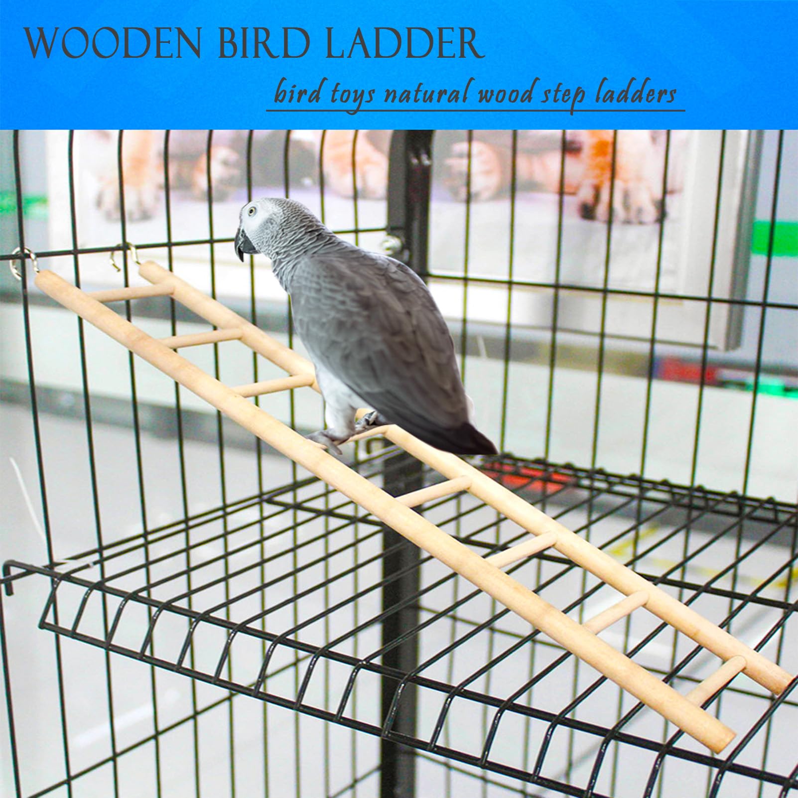 Vogelleiter Aus Naturholz Mit Drehbarer Glocke - Kletter- & Spielzeug Für Papageien, Sittiche & Nymphensittiche