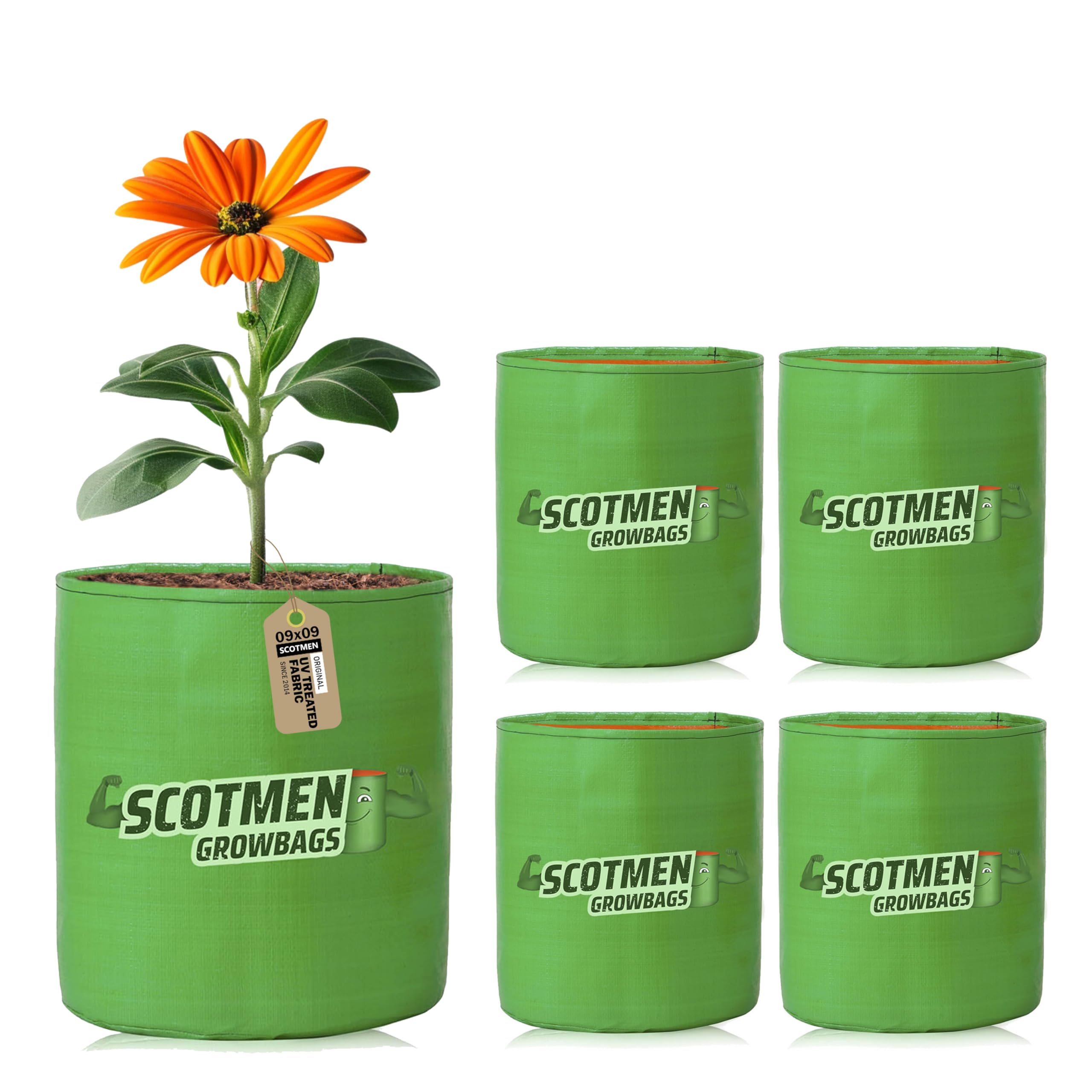 See full amazon price history chart for SCOTMEN Round Green Grow Bags for Terrace Balcony Home Gardening 9x9 Inches Pack of 5 Plant Growing Grow Bag SCOTMEN Round Green Grow Bags for Terrace Balcony Home Gardening 9x9 Inches Pack of 5 Plant Growing Grow Bag (B08542JBN7) Amazon Price History, Amazon Price Tracker