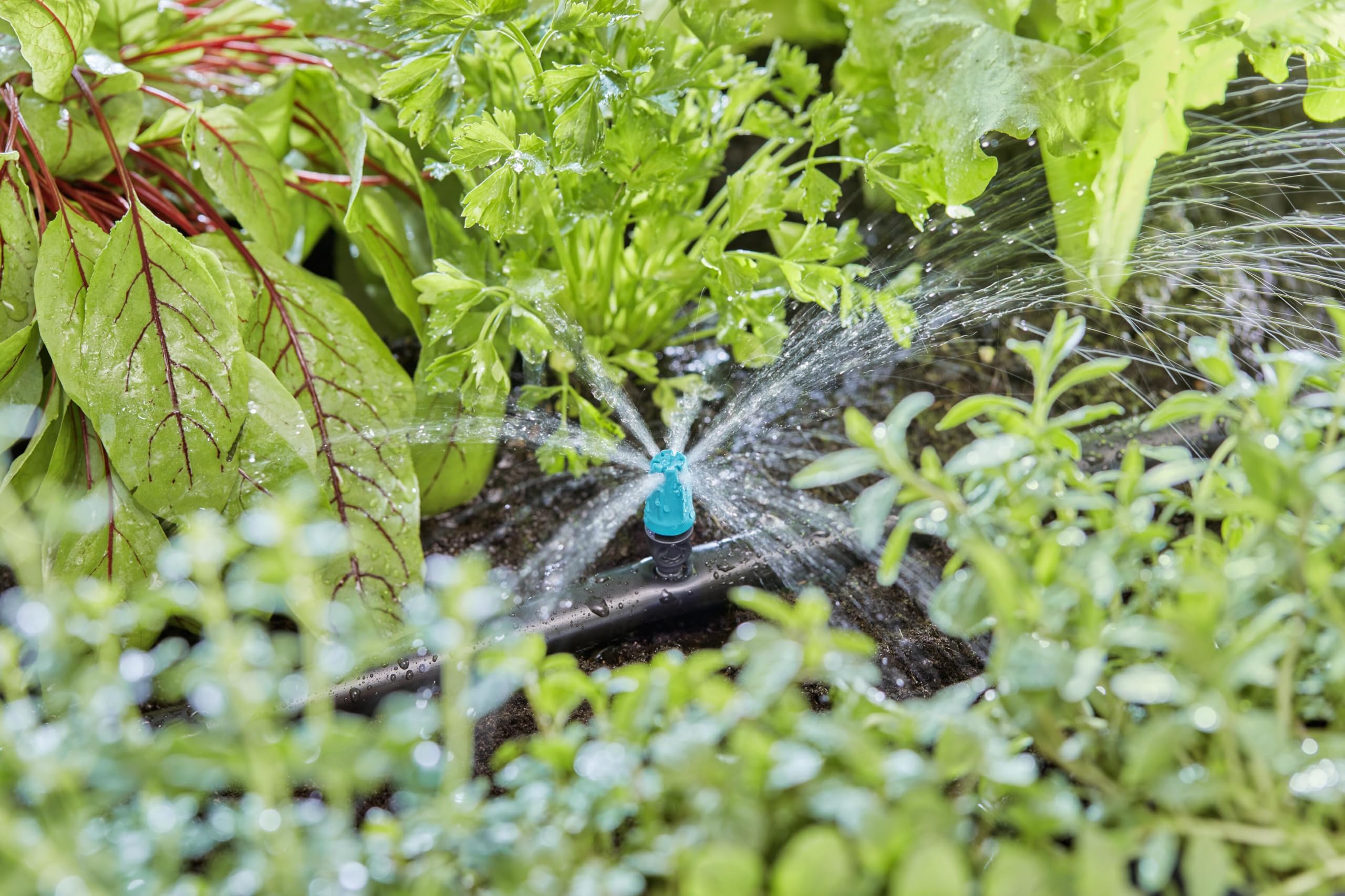 Gardena Small Area Spray Nozzle (Lot de 4)