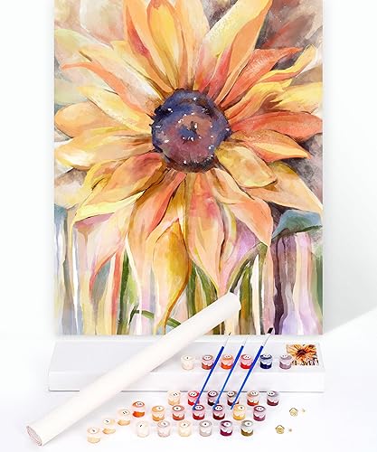 Slody Pintura por números para adultos, lienzo de rosas, obras de arte de arte de bricolaje, pintura acrílica por números, kits sobre lienzo