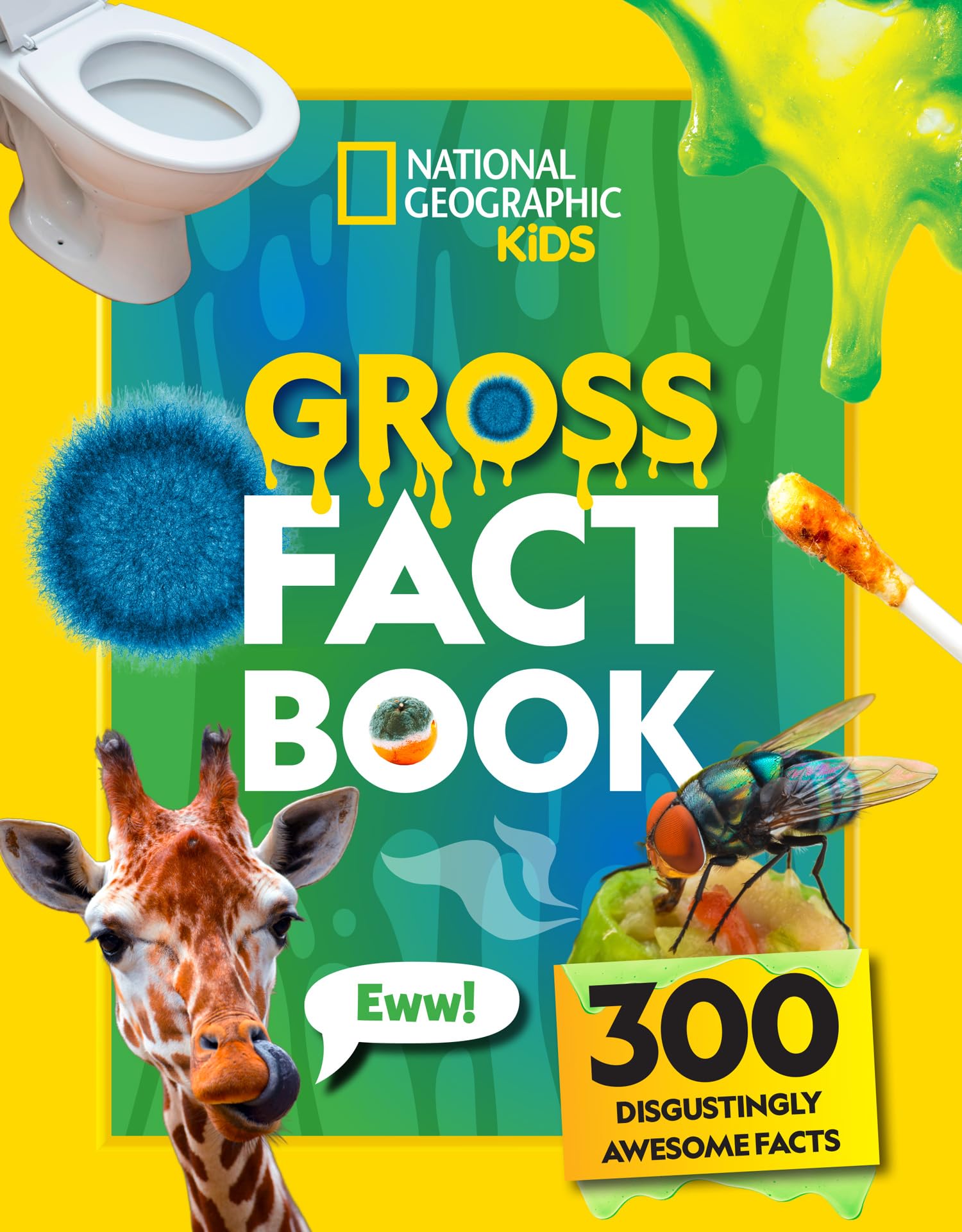 Gross Fact Book: 300 disgustingly awesome facts (National Geographic Kids)