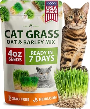 HOME GROWN Cat Grass Seeds 4 oz Oat & Barley Mix Indoor Cat Grass Refill Kit Digestive Green Grass for Pets Heirloom Seeds for CatsHealth & Wellness Dactylis glomerata