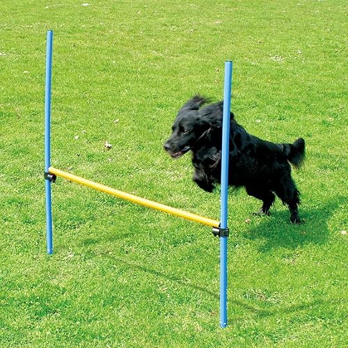Miniatura 10 de PAWISE Pet Dogs Outdoor Games Agility Exercise Training Equipment Pet Training