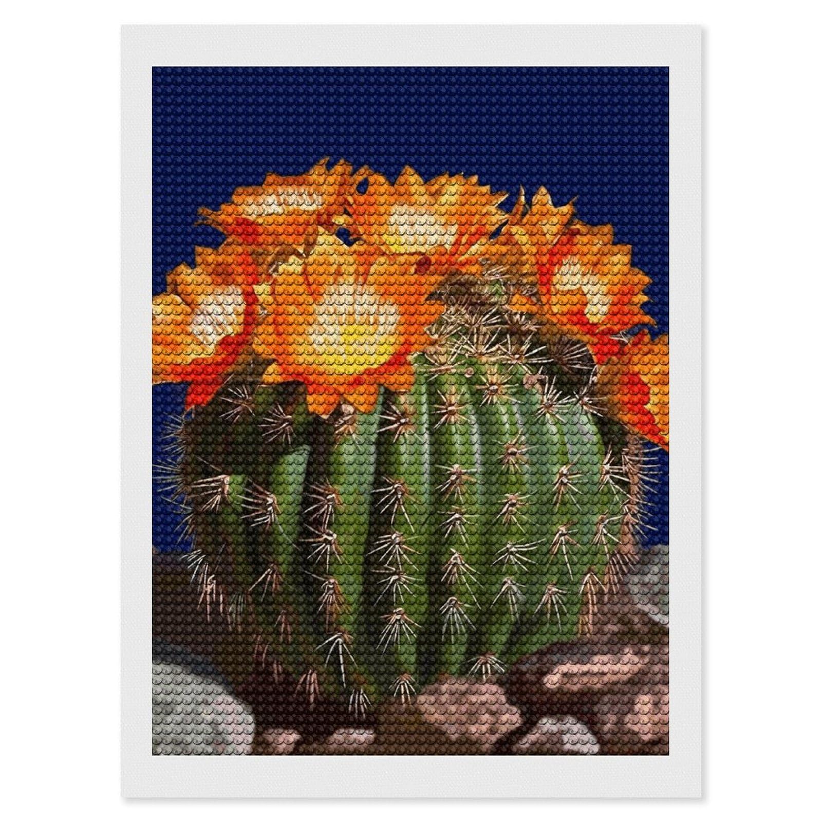 Diamond Painting Kits for Adults - DIY Diamond Art Kits for Beginners - Full 5D Paint Drill Diamond Dots Paintings- Blooming Barrel Cactus Diamonds Pictures Gem Art And Craft Wall Decor 12"x16"
