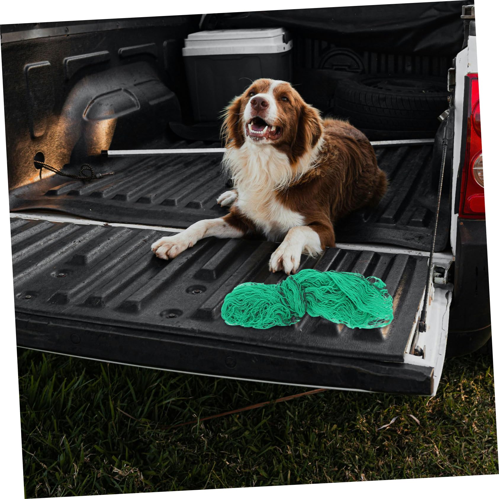 Alipis Rete Fermacarico Elastica per Cassone Pickup in PVC con Struttura a Maglia Facile da Installare Versatile per Attrezzatura da Campeggio e Trasporto Sicuro
