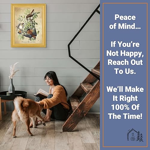 Vista 216 de Towee Bunting by James Audubon - Marco biselado negro de 12 x 16 pulgadas, decoración artística enmarcada para pared, reproducción de pinturas