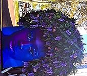 Review Image by Katherine Orfinger Katherine Orfinger