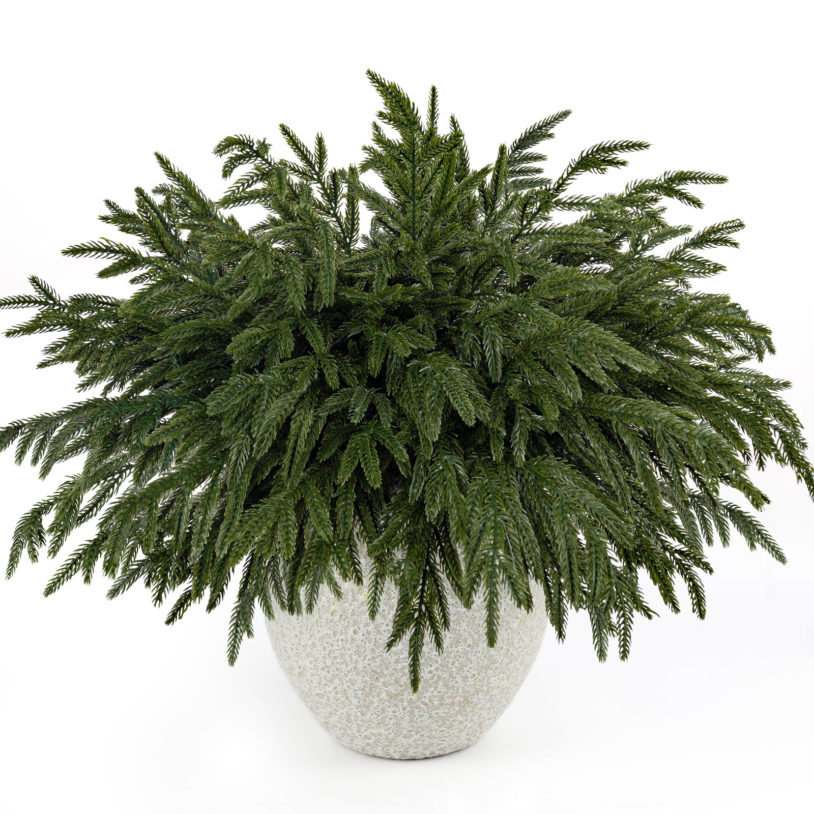 HOHOTIME 16-piece real touch Norfolk pine branches
