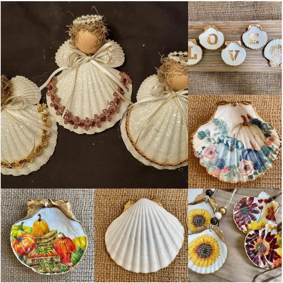 Conchiglie bianche di capesante Shell 16PCS grande naturale dalla spiaggia del mare per il mestiere fai da te (A)