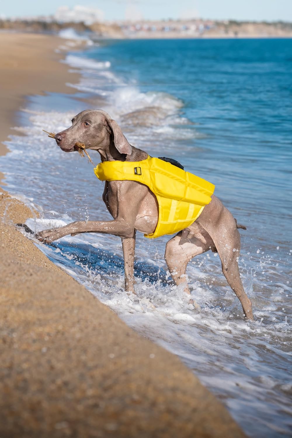NOAH & PAW Dog Life Jacket, Human Standards Lifejacket Design, Dog Life Vest for Swimming and Boating, 3X Foam Support for Max Floating, Breathable Mesh, Salvavidas para Perros, Size L